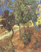 Vincent Van Gogh Trees in the Garden of Saint-Paul Hospital (nn04) Spain oil painting reproduction